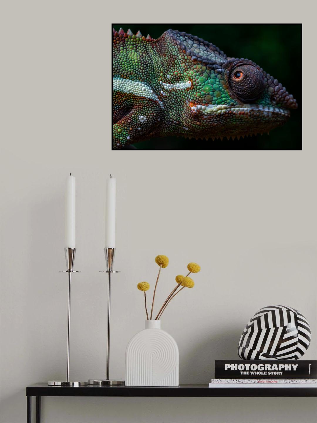 The Face of Panther Chameleon Poster och Canvastavla