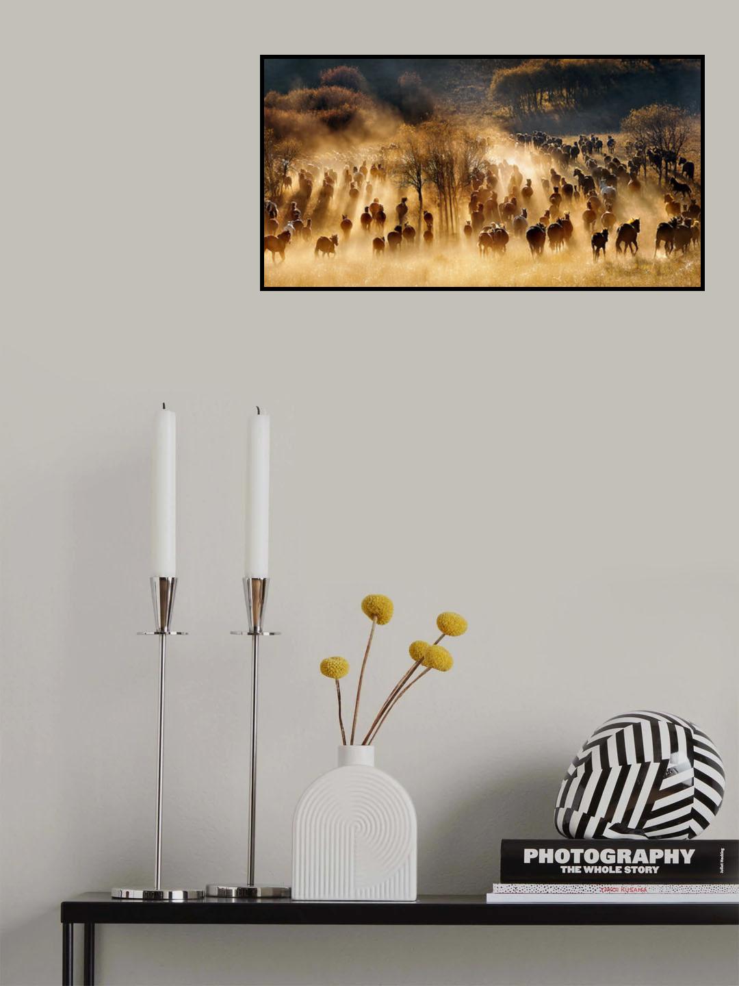 Horses Poster och Canvastavla