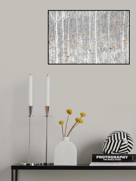 Flooding of the river Poster och Canvastavla