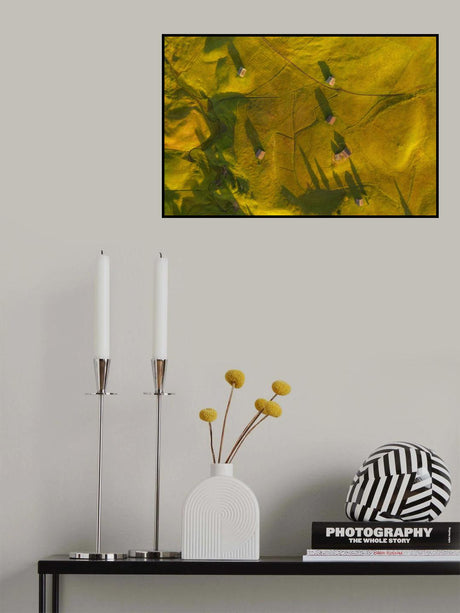 Flying like a bird Poster och Canvastavla
