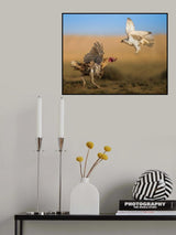 Ready to fight Poster och Canvastavla