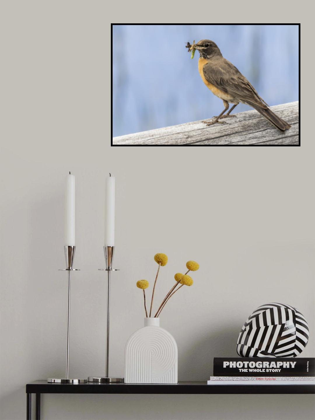 Poster och Canvastavla