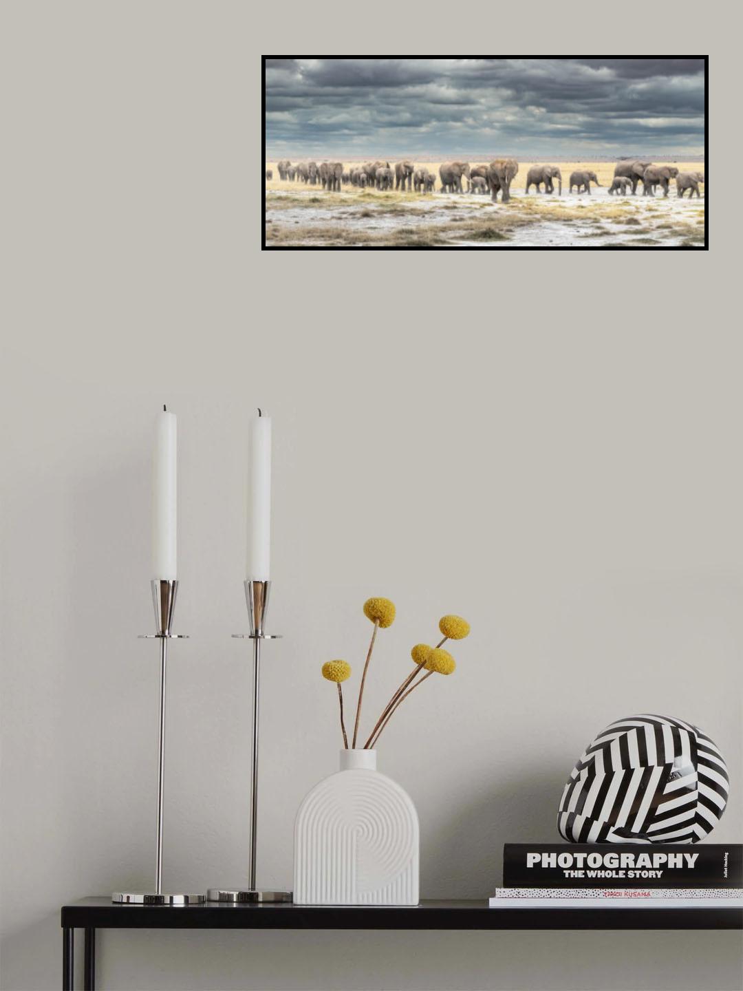 The March for Survival Poster och Canvastavla