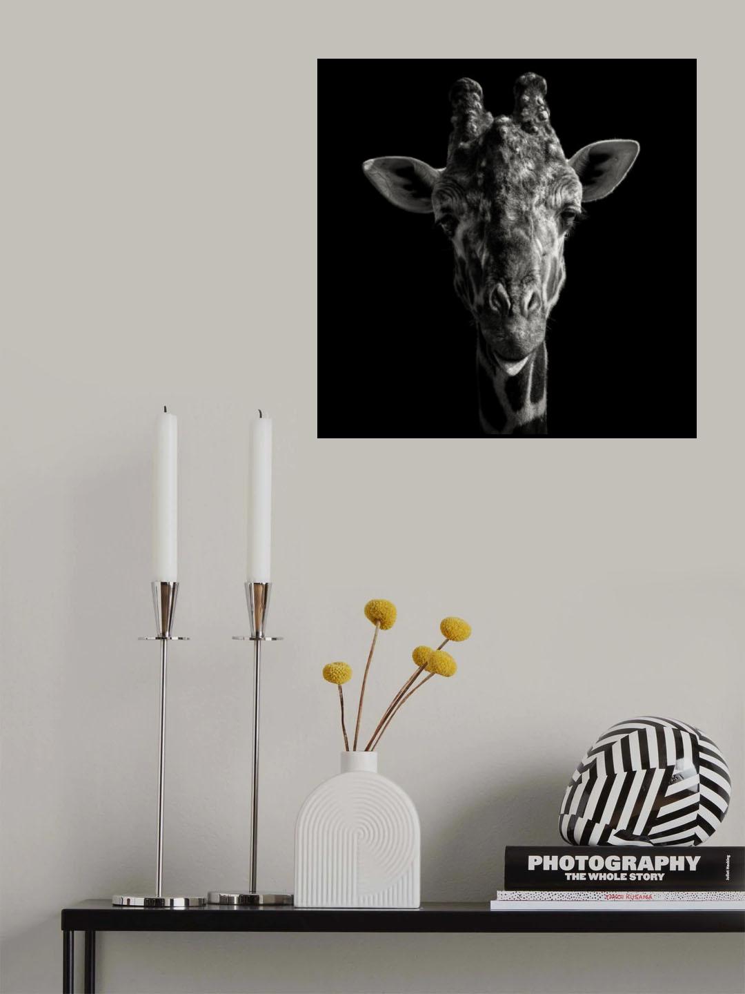 Cheeky Giraffe Poster och Canvastavla
