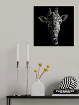 Cheeky Giraffe Poster och Canvastavla