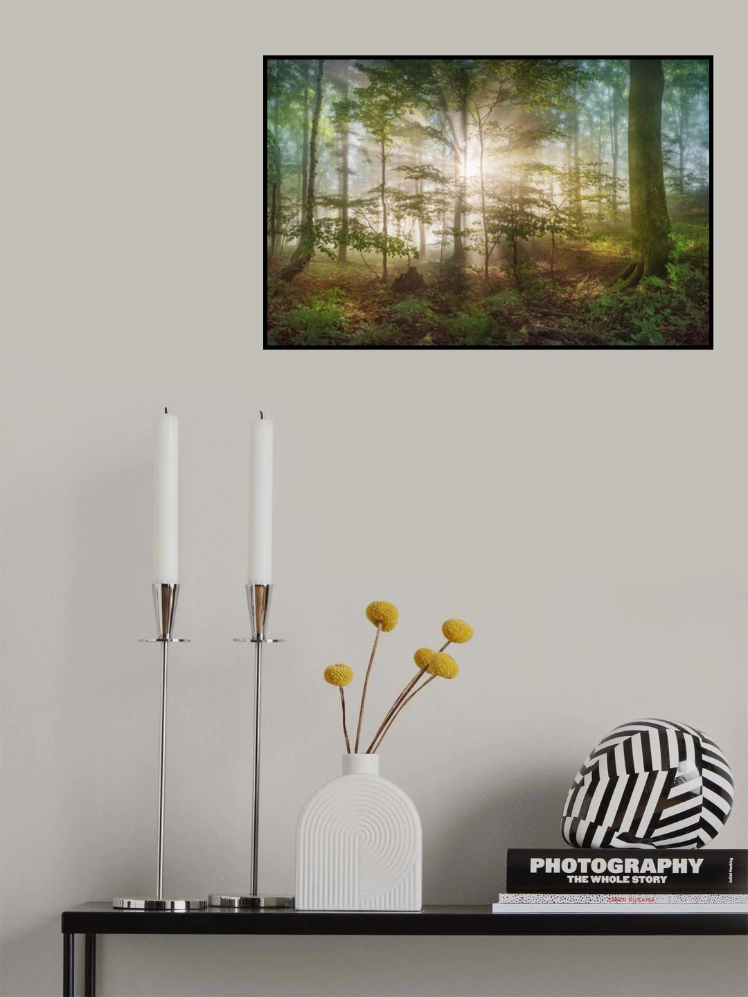morning sun Poster och Canvastavla