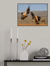 '...get out of my way...' Poster och Canvastavla