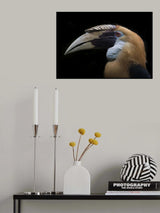 Blond Poster och Canvastavla