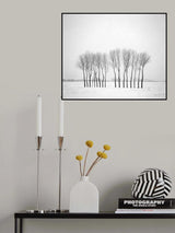 Winter landscape with trees Poster och Canvastavla
