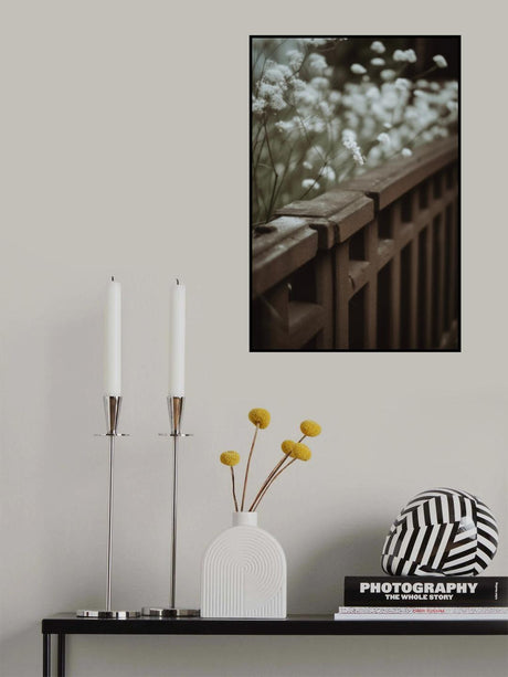 Low Light Nature No 4 Poster och Canvastavla
