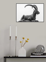 Resting Poster och Canvastavla
