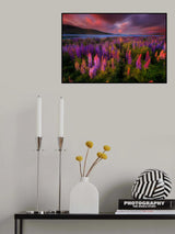 Springtime Rush Poster och Canvastavla