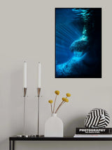 Asylum Poster och Canvastavla