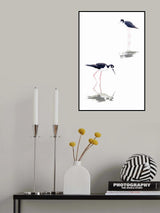 Finding Food Poster och Canvastavla