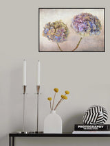 Hydrangea Poster och Canvastavla