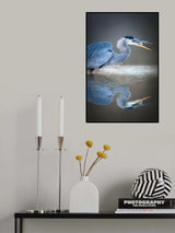 Gotcha Poster och Canvastavla