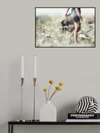 Only know you love her when you let her go... Poster och Canvastavla