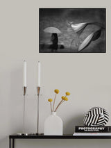 Poster och Canvastavla