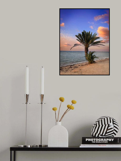 palm beach Poster och Canvastavla