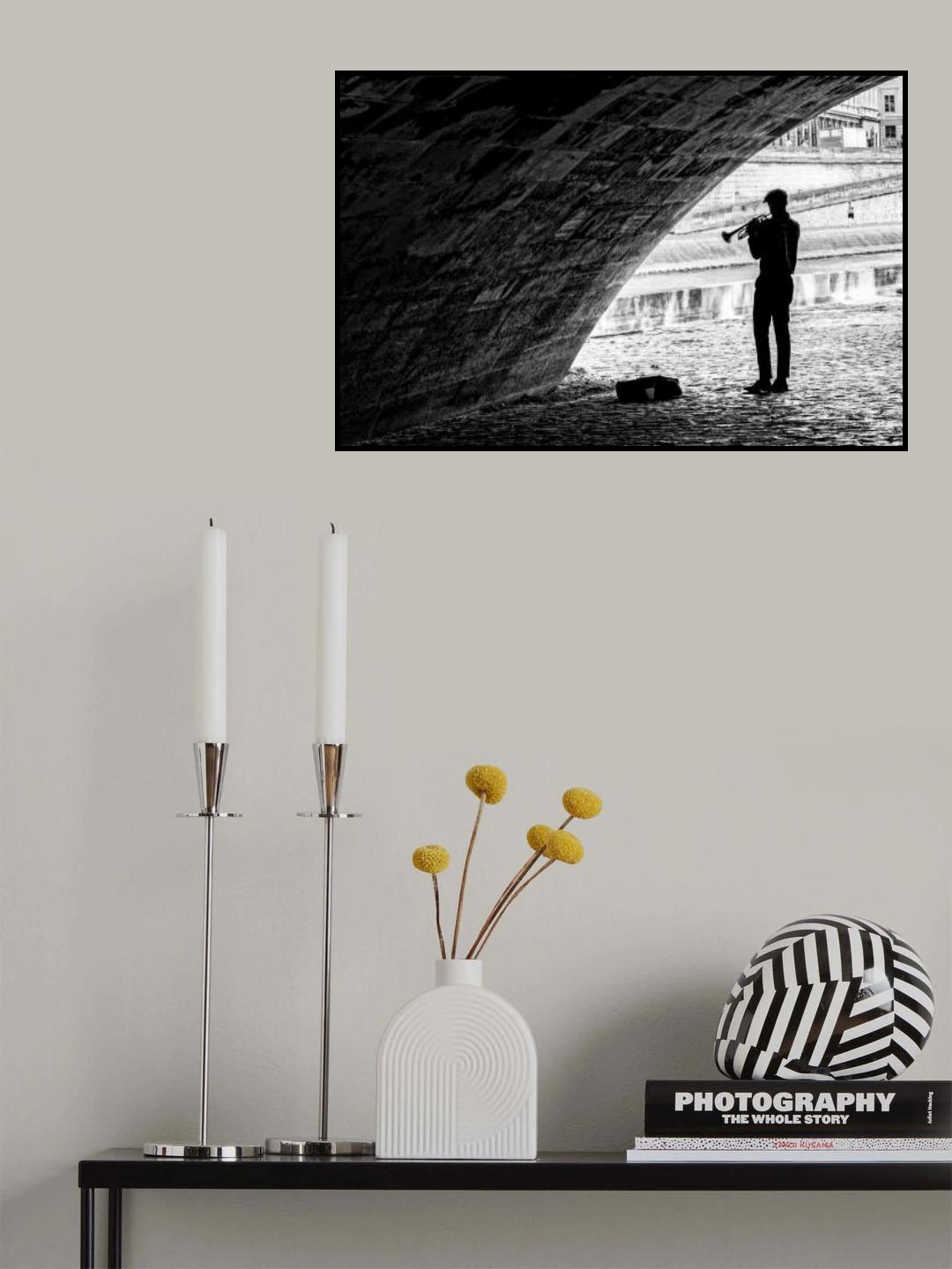 Music under the bridge Poster och Canvastavla