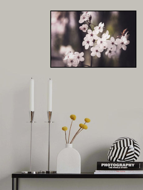 Blossoms Poster och Canvastavla
