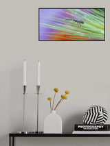 Seeking paradise desperately... Poster och Canvastavla
