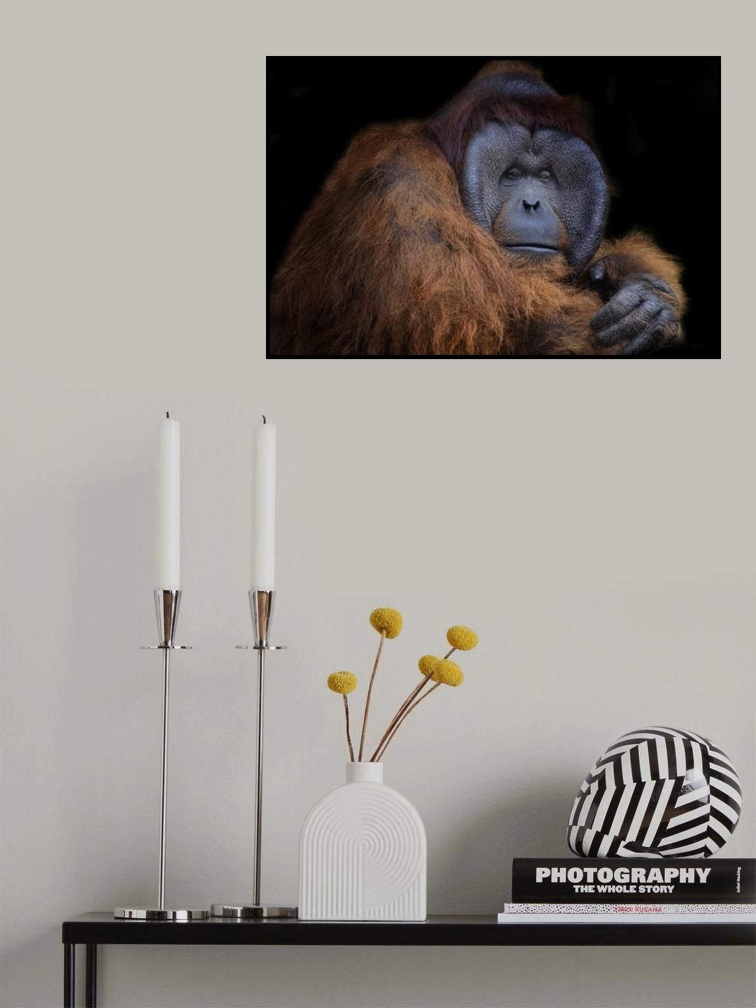Mr. Orang utan Poster och Canvastavla