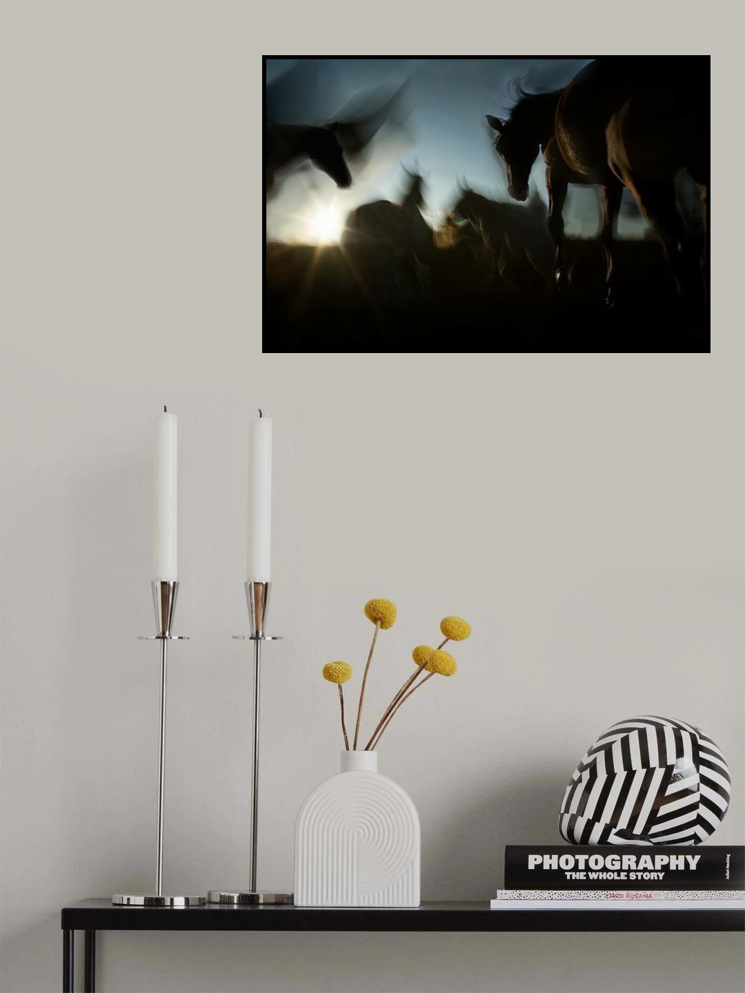 moving shadows Poster och Canvastavla