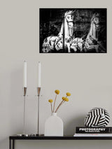 Dream of Carousel Poster och Canvastavla