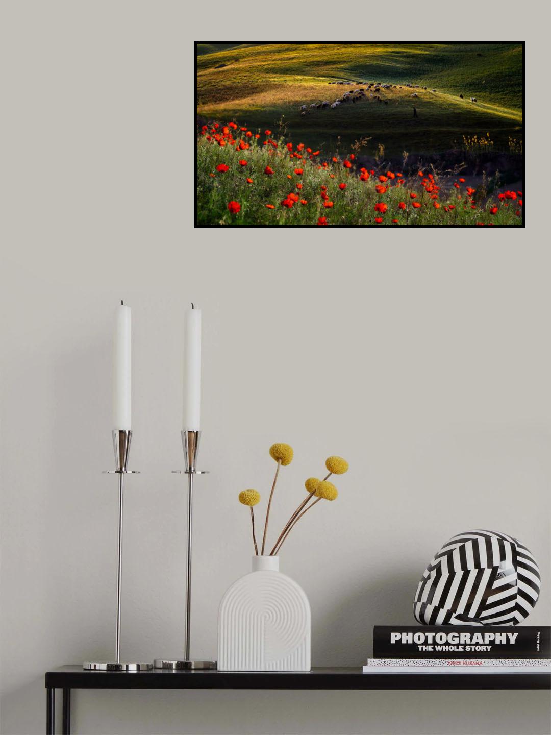Spring scene of Ili Kazakh Prairies Poster och Canvastavla
