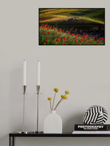 Spring scene of Ili Kazakh Prairies Poster och Canvastavla
