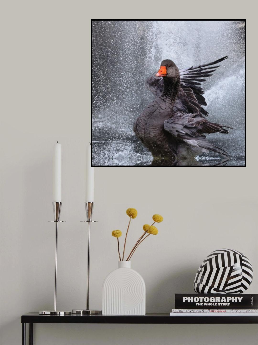 Splash .... Poster och Canvastavla