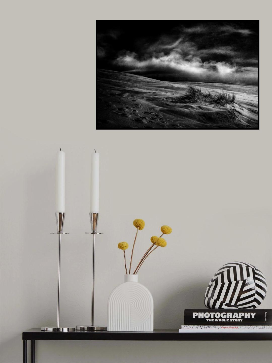 marram grass Poster och Canvastavla