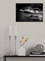 marram grass Poster och Canvastavla