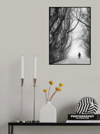 Plane tree way. Poster och Canvastavla