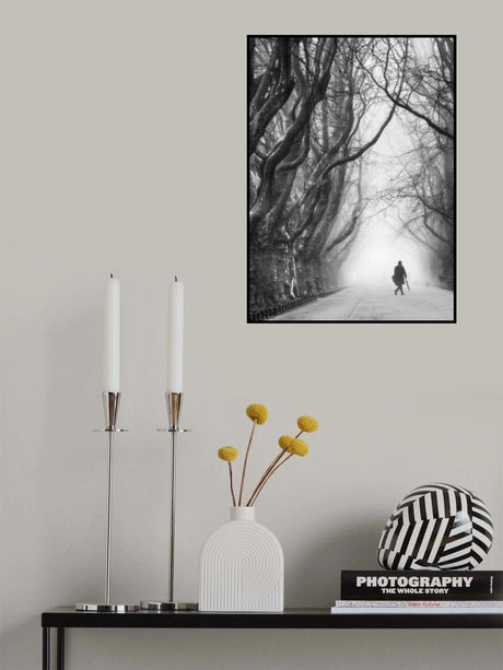 Plane tree way. Poster och Canvastavla