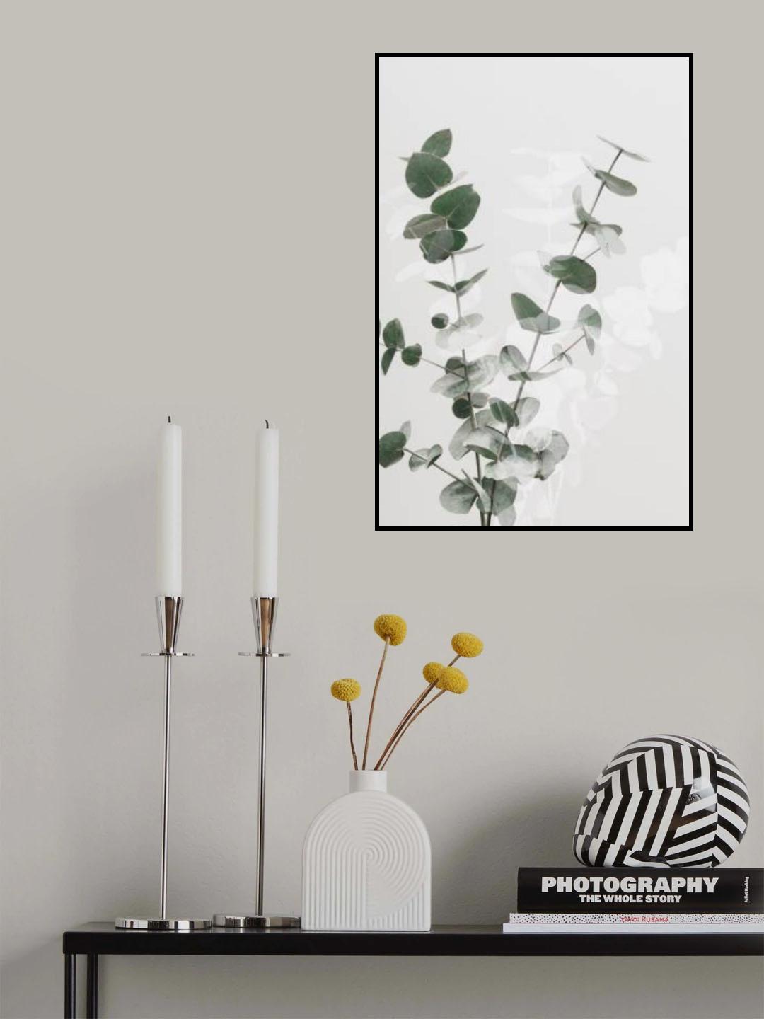 Eucalyptus Creative 02 Poster och Canvastavla