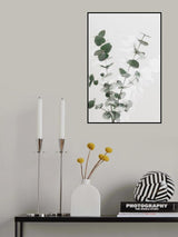 Eucalyptus Creative 02 Poster och Canvastavla