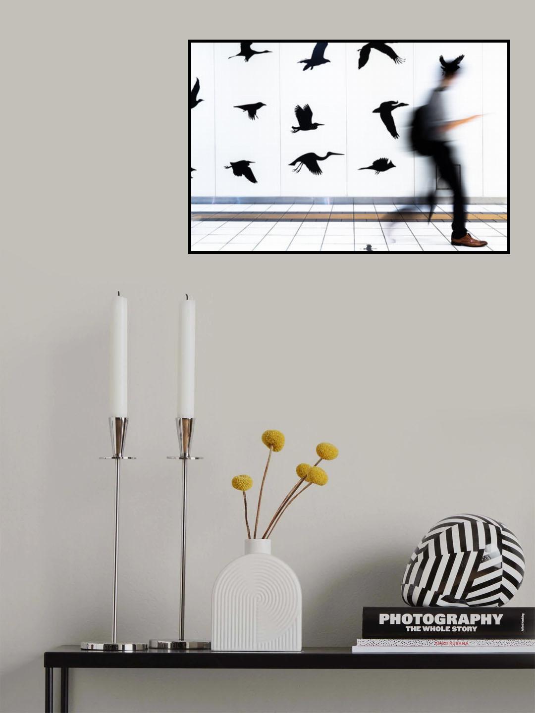 Walking with birds Poster och Canvastavla