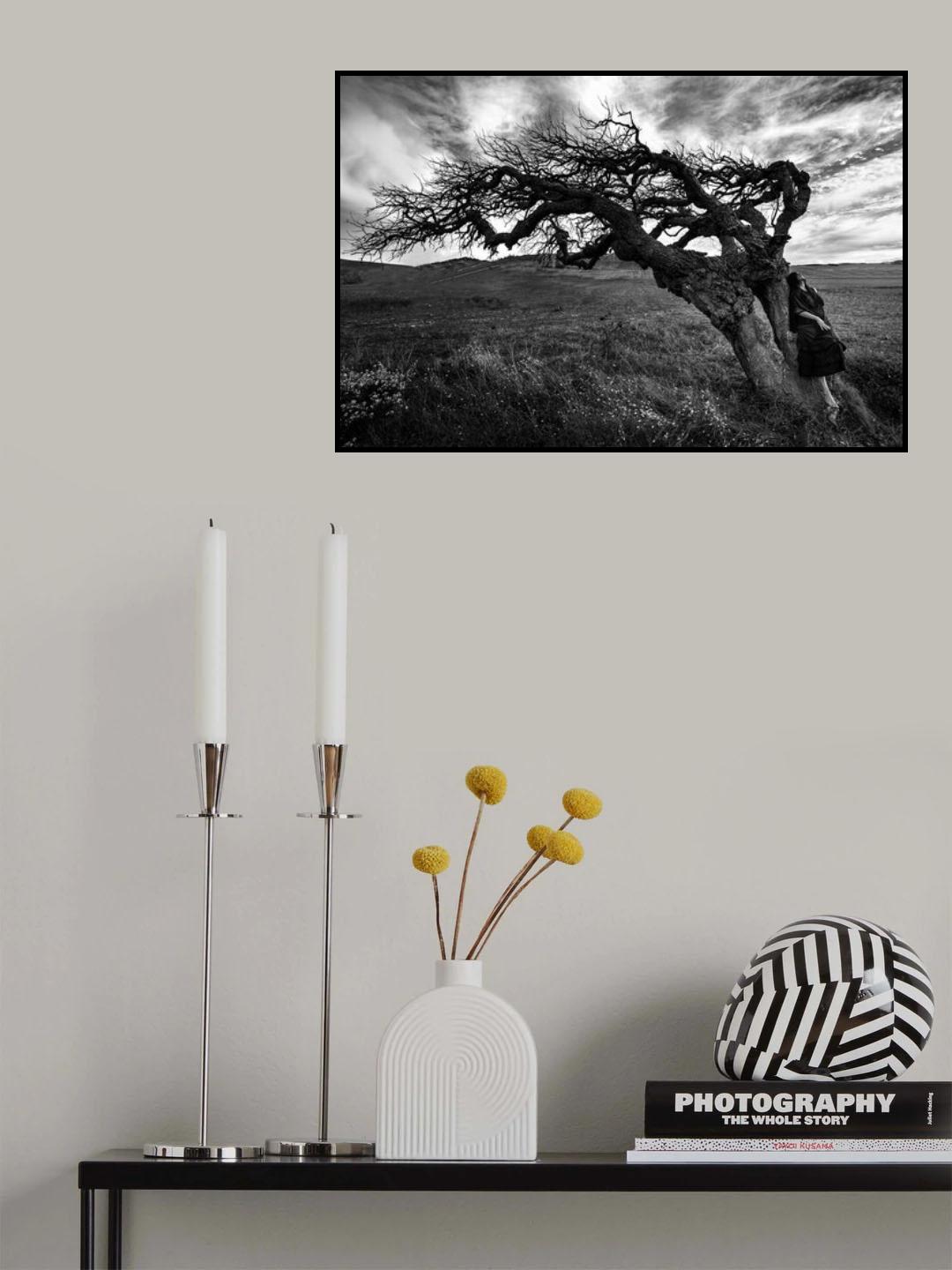 The witch's tree Poster och Canvastavla