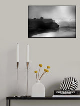 BIRDS Poster och Canvastavla