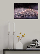 ''\ Poster och Canvastavla