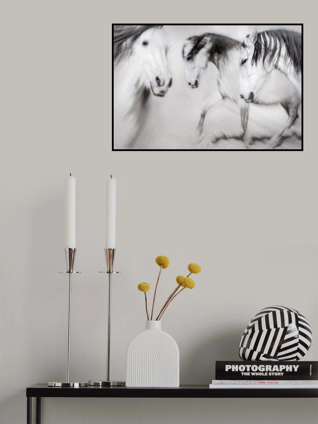 Born to sea and sands Poster och Canvastavla