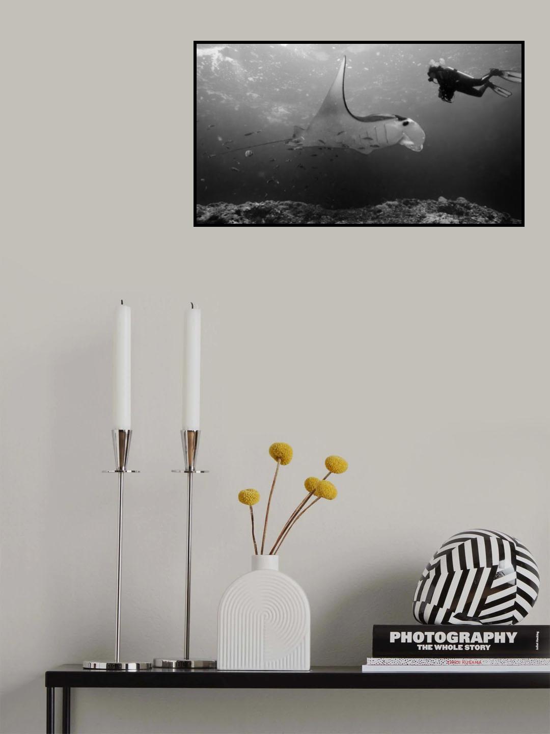 Manta Point Poster och Canvastavla