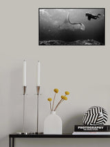 Manta Point Poster och Canvastavla