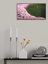 The road of flower Poster och Canvastavla