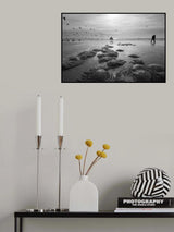 Salt Lives #32 Poster och Canvastavla