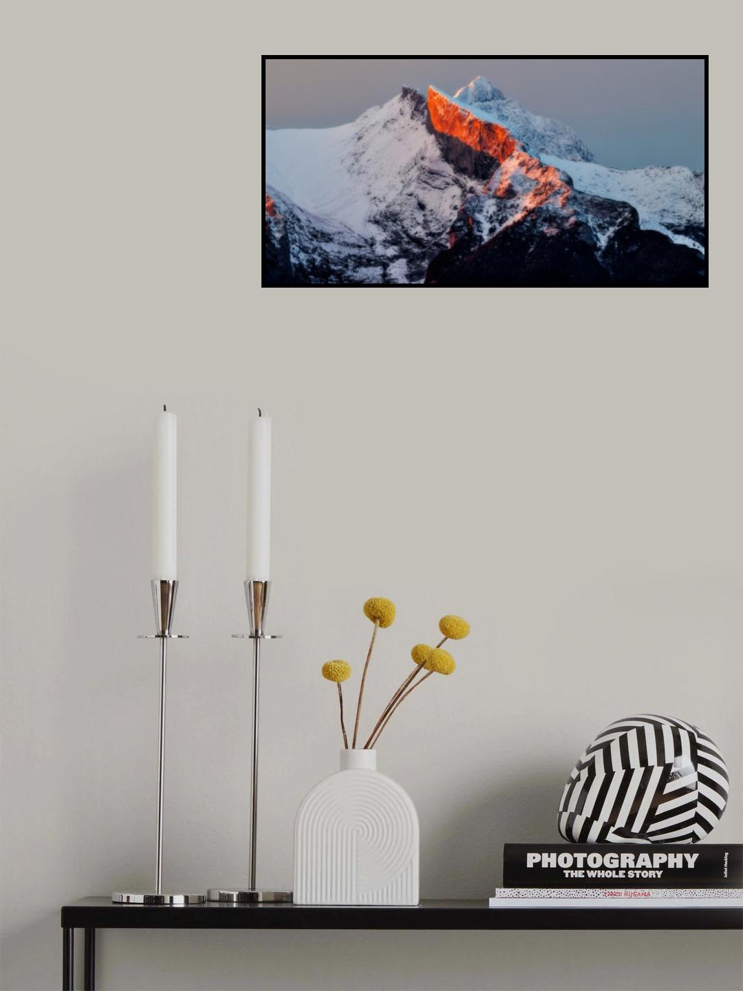 Orange morning pick Poster och Canvastavla