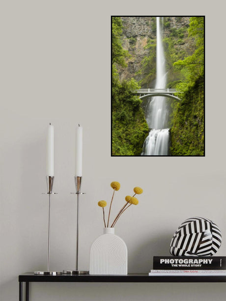 Soft Tail Poster och Canvastavla