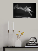 White Swan is Landing Poster och Canvastavla